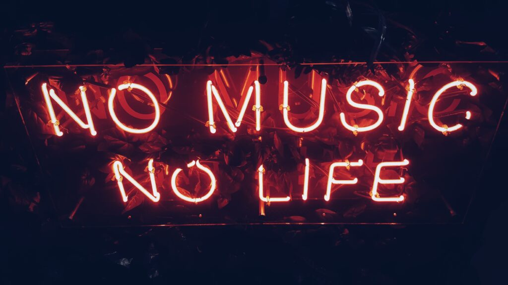 No Music - No life